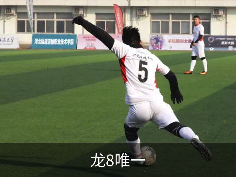 龙8唯一介绍